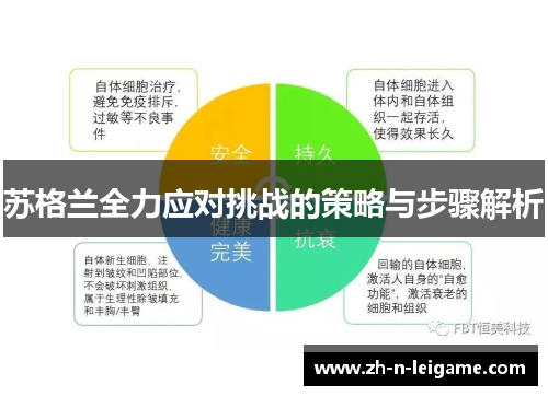 苏格兰全力应对挑战的策略与步骤解析