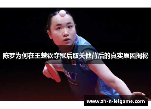 陈梦为何在王楚钦夺冠后取关他背后的真实原因揭秘